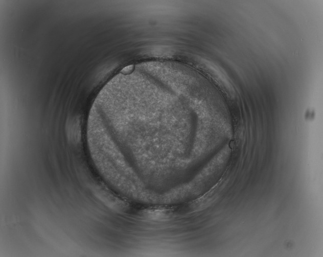 X0000093730120200711061009