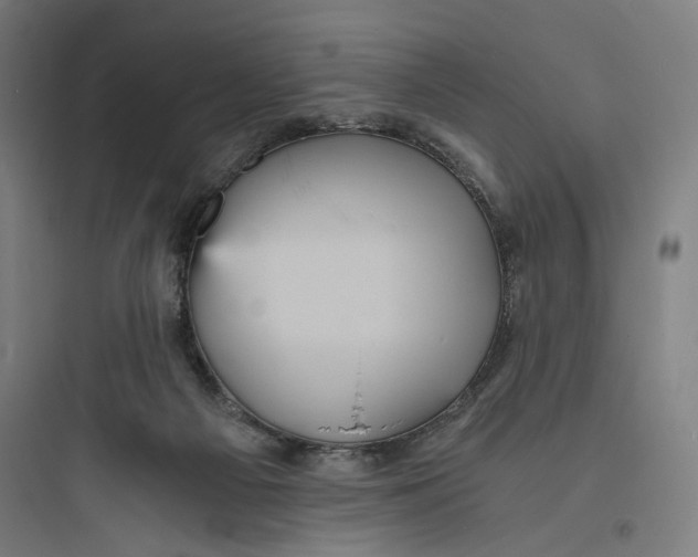 X0000093730121200711061009