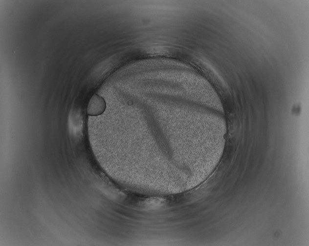 X0000093730124200711061009