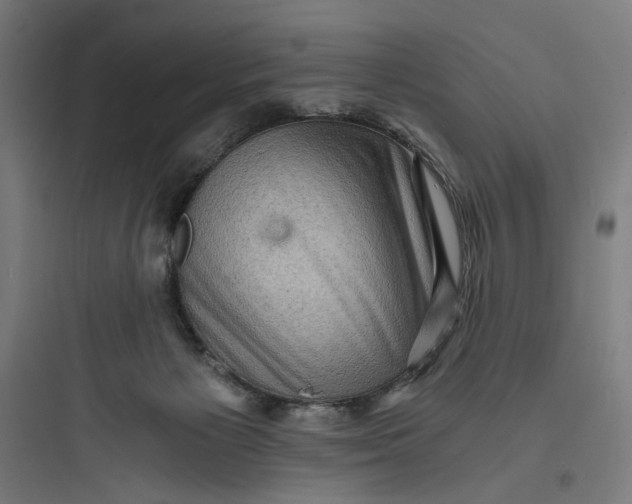 X0000093730125200711061009