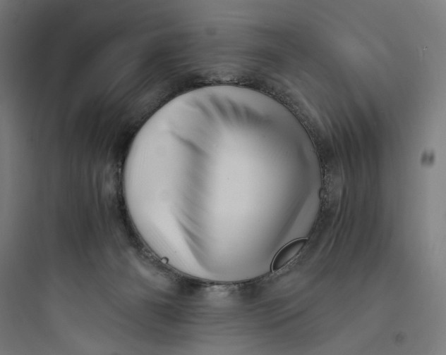 X0000093730126200711061009