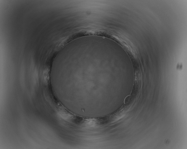 X0000093730127200711061009