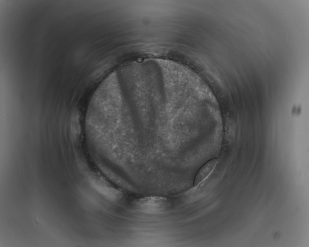 X0000093730128200711061009