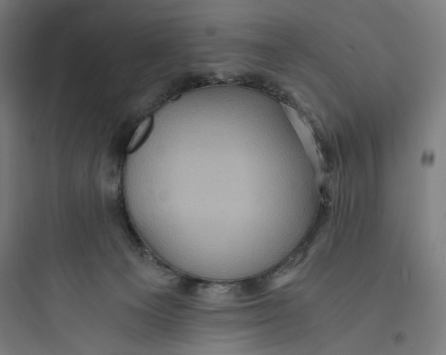 X0000093730129200711061009