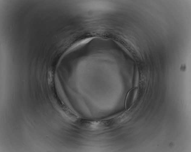 X0000093730130200711061009