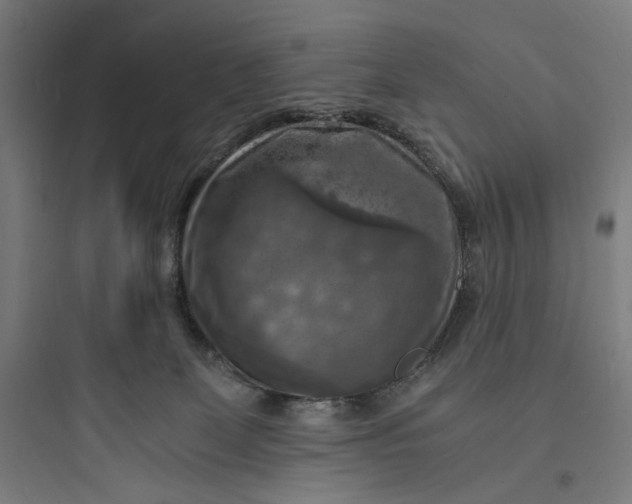 X0000093730131200711061009