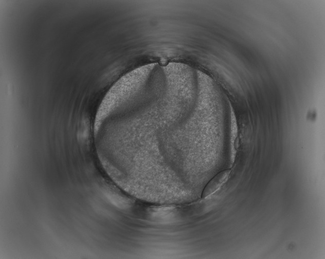 X0000093730132200711061009