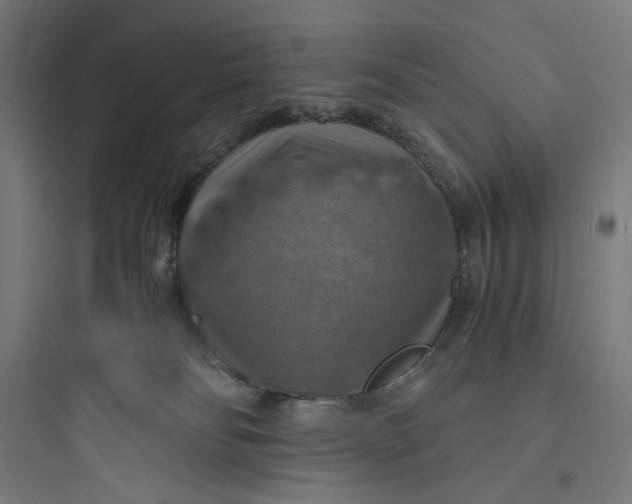 X0000093730134200711061009