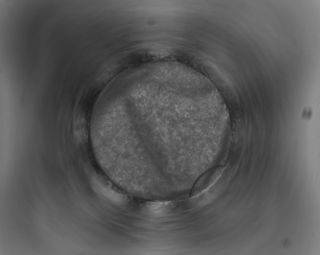 X0000093730136200711061009