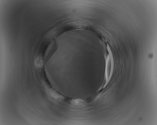 X0000093730137200711061009