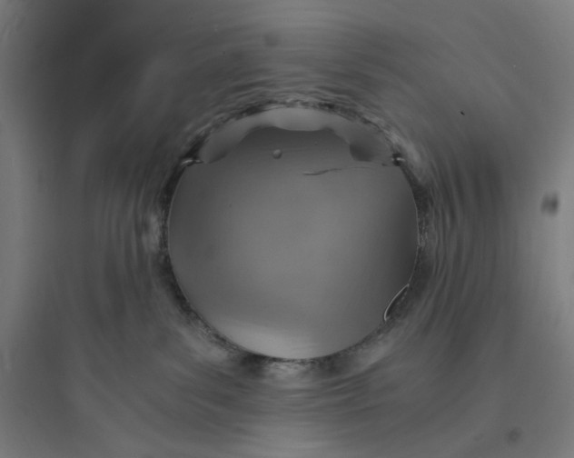 X0000093730139200711061009