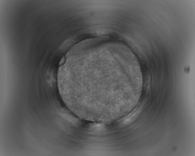 X0000093730140200711061009