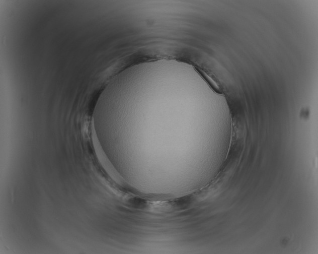 X0000093730141200711061009