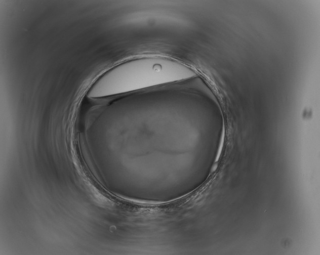 X0000093730145200711061008