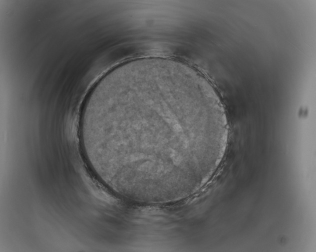 X0000093730146200711061008