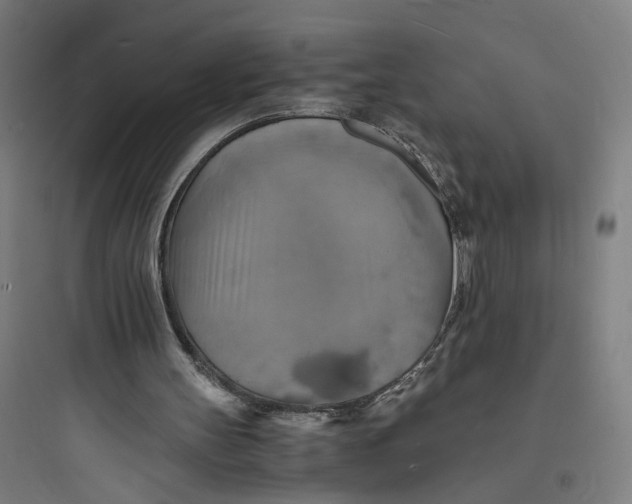 X0000093730147200711061008