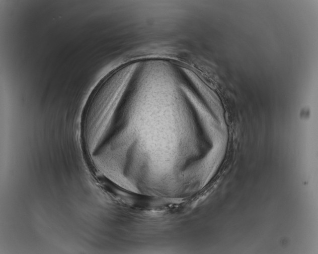 X0000093730148200711061008