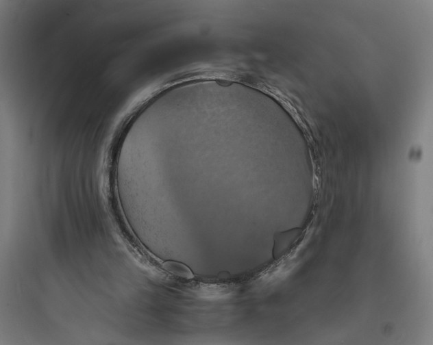 X0000093730149200711061008