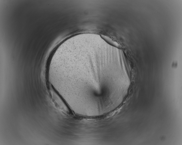 X0000093730150200711061008