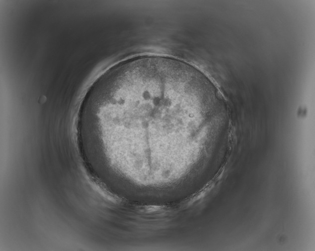 X0000093730151200711061008