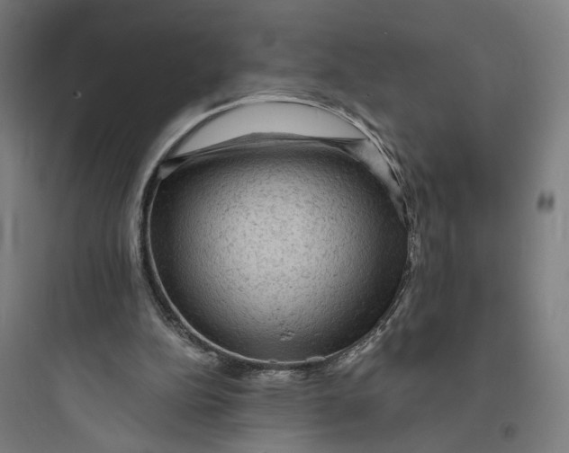 X0000093730152200711061008