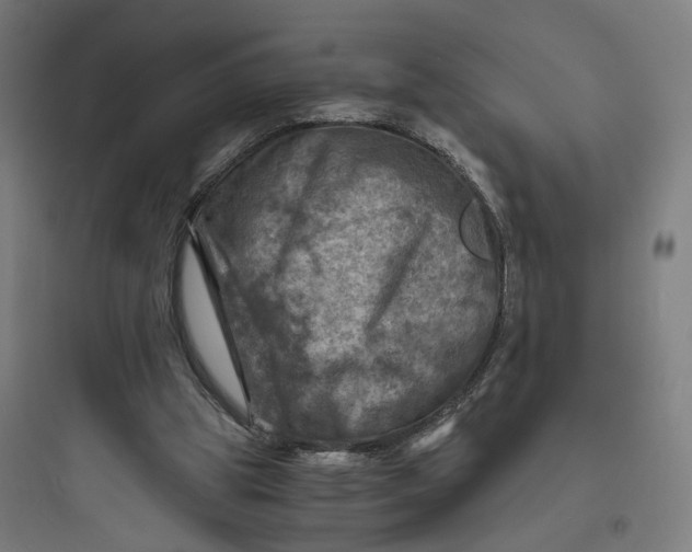 X0000093730153200711061008