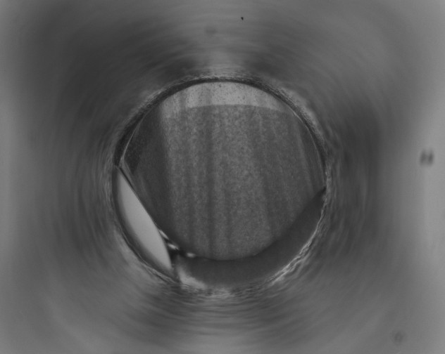 X0000093730154200711061008