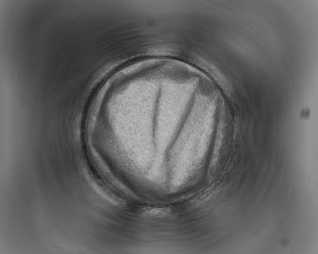 X0000093730155200711061008