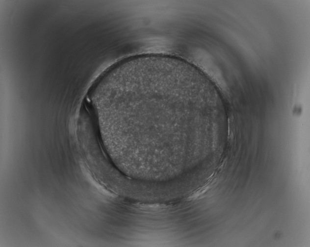 X0000093730156200711061008