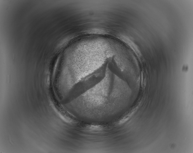 X0000093730157200711061008