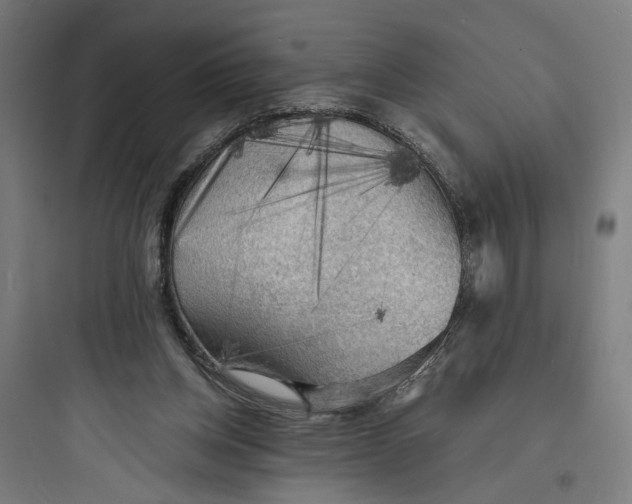 X0000093730158200711061008