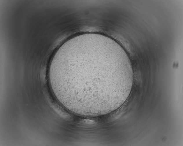 X0000093730159200711061008