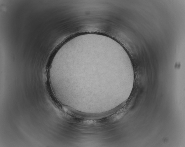 X0000093730160200711061009