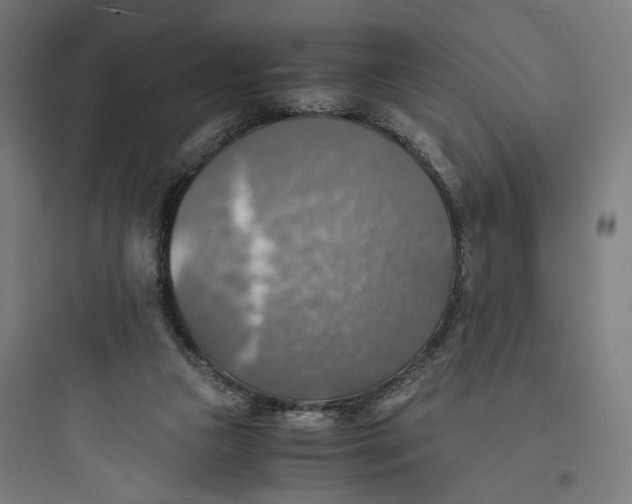 X0000093730161200711061009