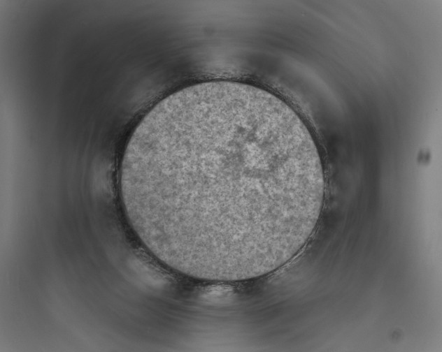 X0000093730162200711061009