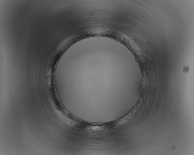 X0000093730163200711061009