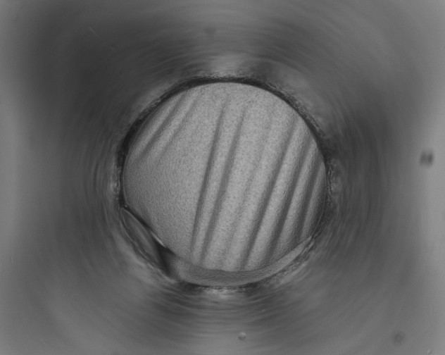 X0000093730164200711061009