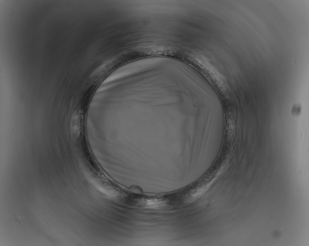 X0000093730165200711061009