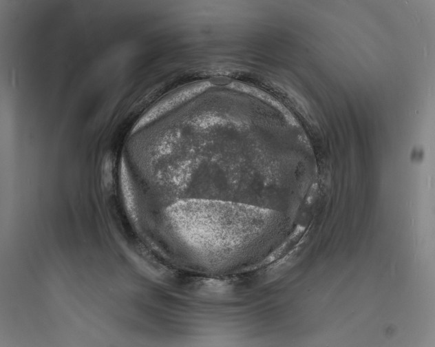 X0000093730166200711061009