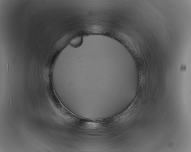 X0000093730167200711061009