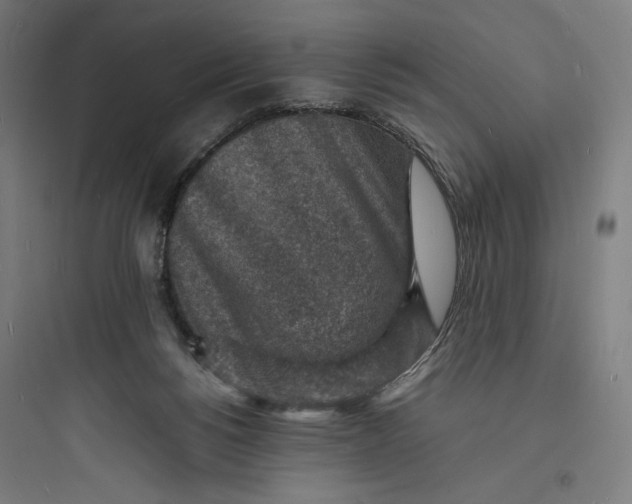 X0000093730168200711061009