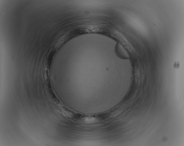 X0000093730169200711061009