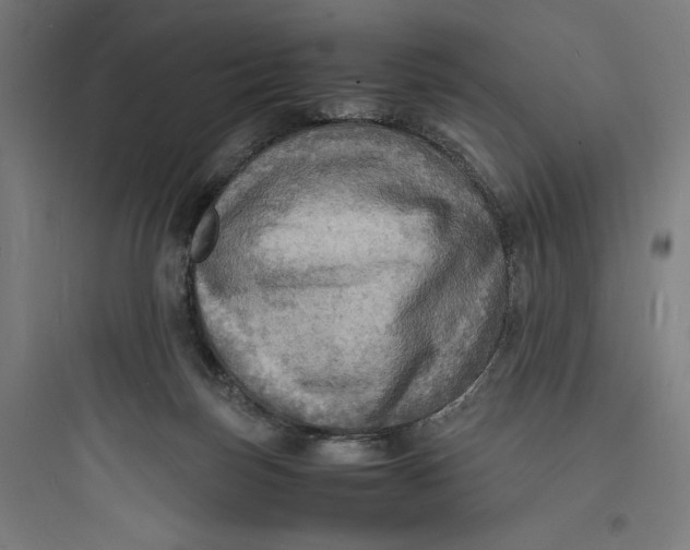 X0000093730171200711061009