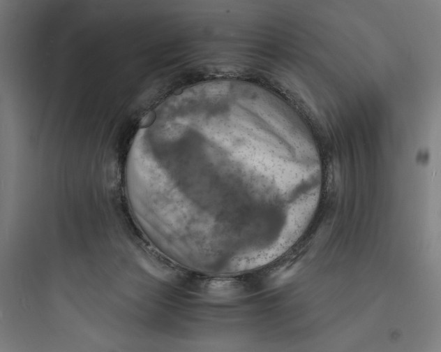 X0000093730173200711061009