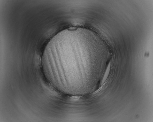 X0000093730176200711061009