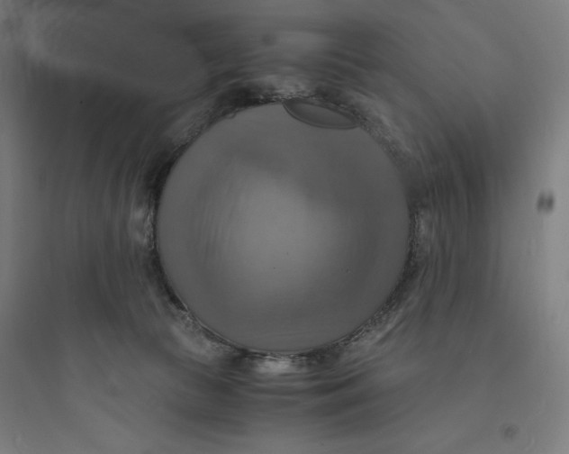 X0000093730177200711061009