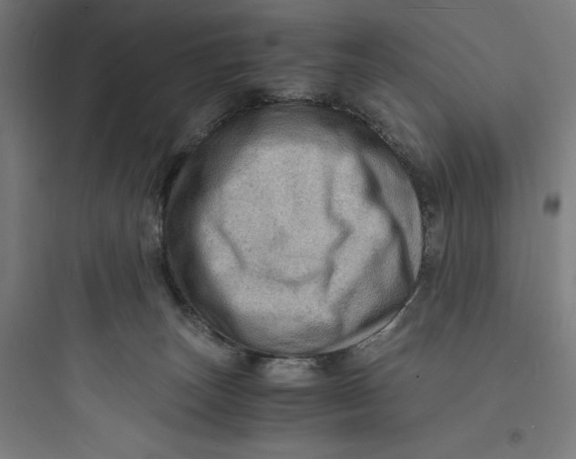 X0000093730179200711061009