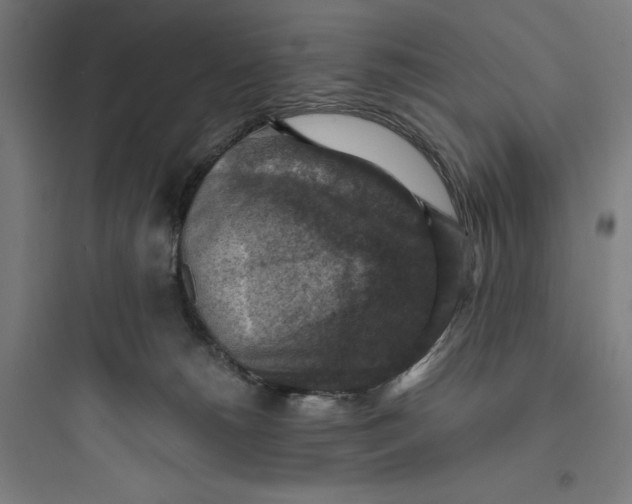 X0000093730180200711061009