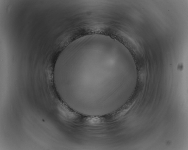 X0000093730181200711061009