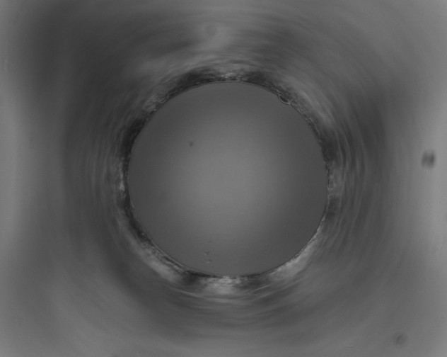 X0000093730182200711061009